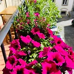 Balcone Fiorito, Nel Cuore Del Centro Storico Di コルトーナ