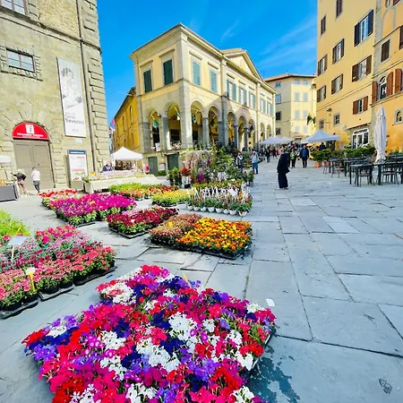 Balcone Fiorito, Nel Cuore Del Centro Storico Di Apartament Cortona