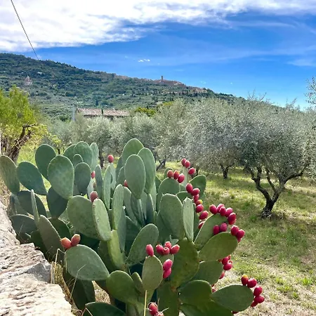 Balcone Fiorito, Nel Cuore Del Centro Storico Di Daire